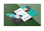 design a professional business flyer and brochure